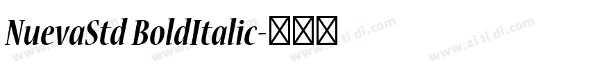 NuevaStd BoldItalic字体转换